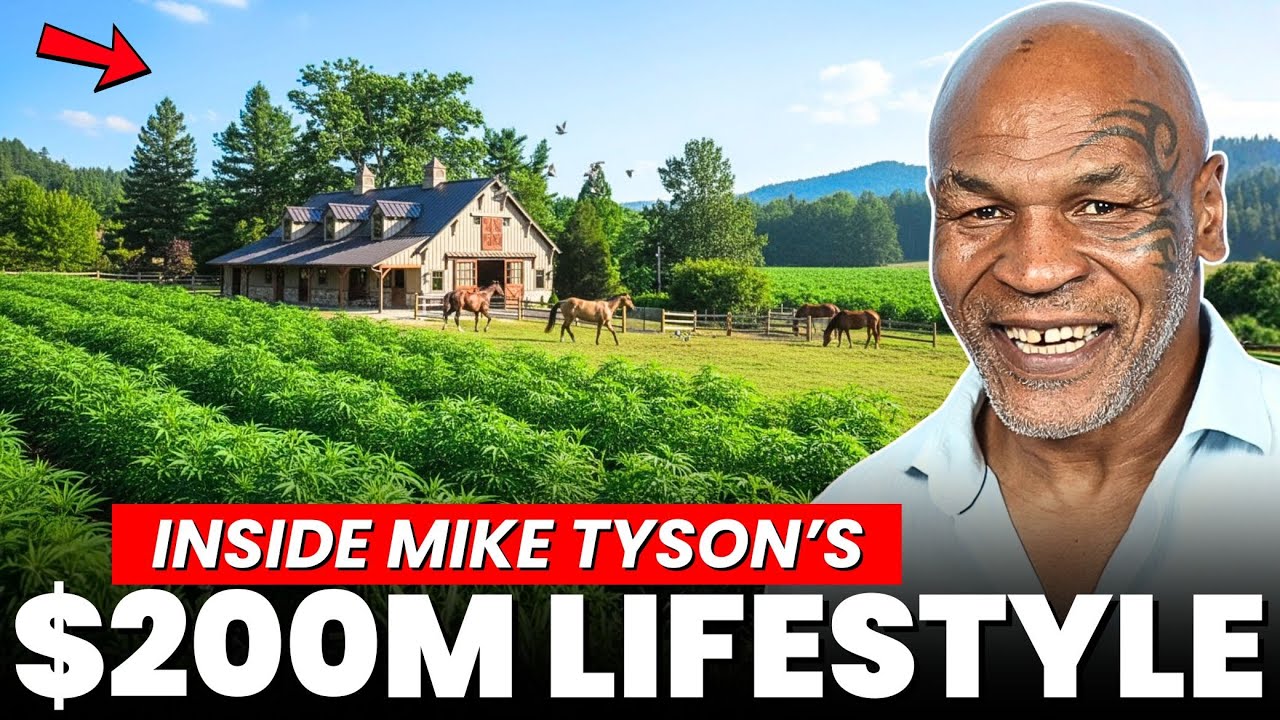 За кулисами каннабисной фермы Майка Тайсона: от чемпиона в тяжелом весе до роскошного образа жизни.