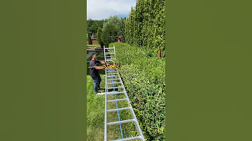 Life hack how to trim a hedge smoothly \ Лайфхак как подстригать живую изгородь ровно