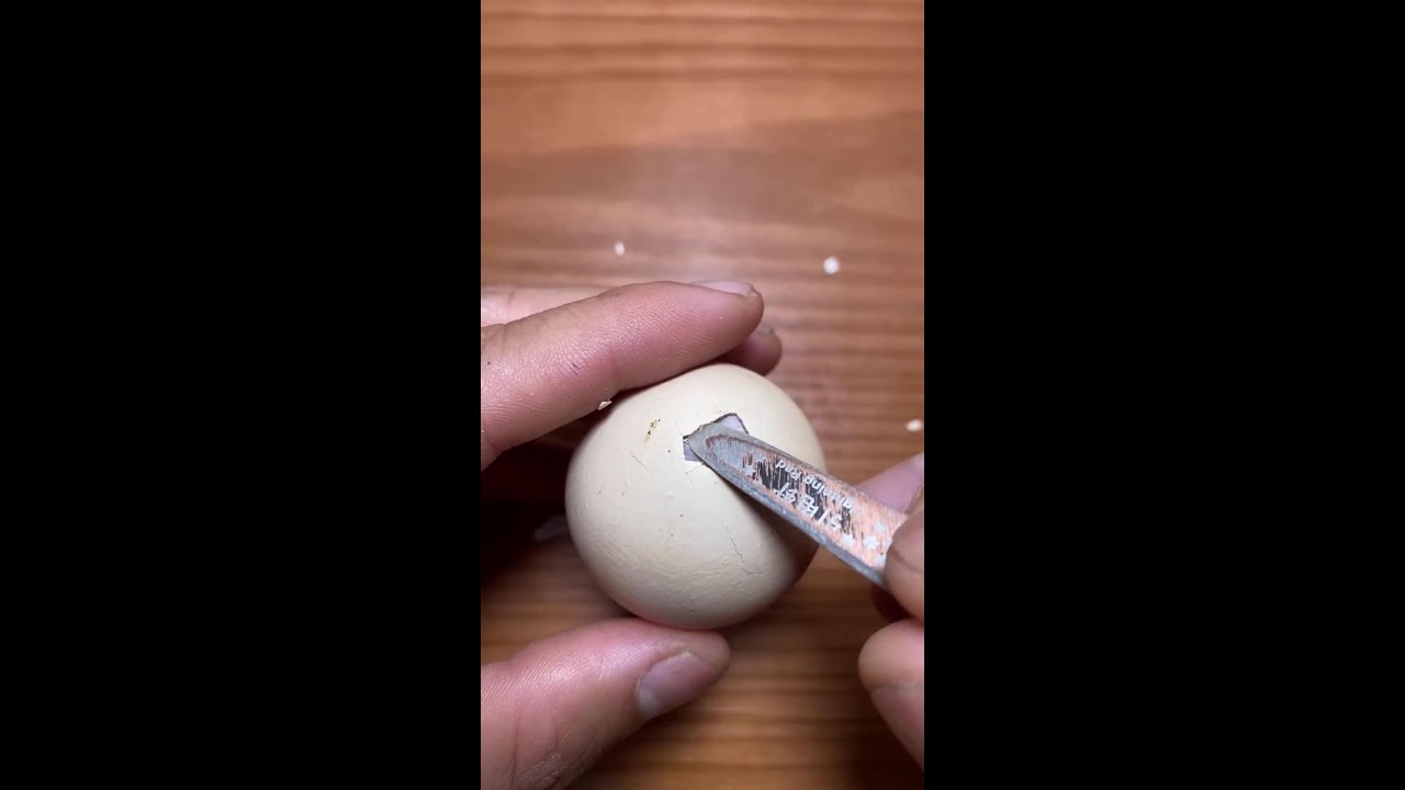 Raw Egg Peeling In LIVE