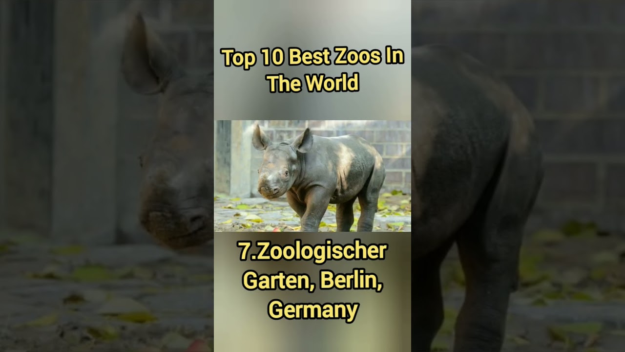 Top 10 Best Zoos in The World 