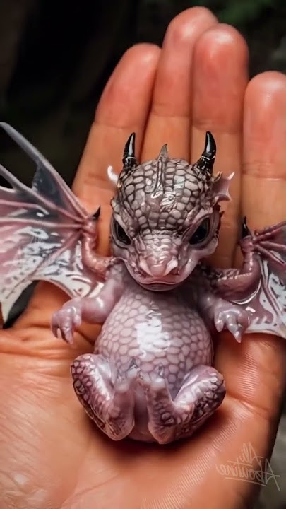Meet my pocket-sized dragon guardian 🐲✨ #Dragon #DragonBaby #DragonKeeper #MagicalCreatures