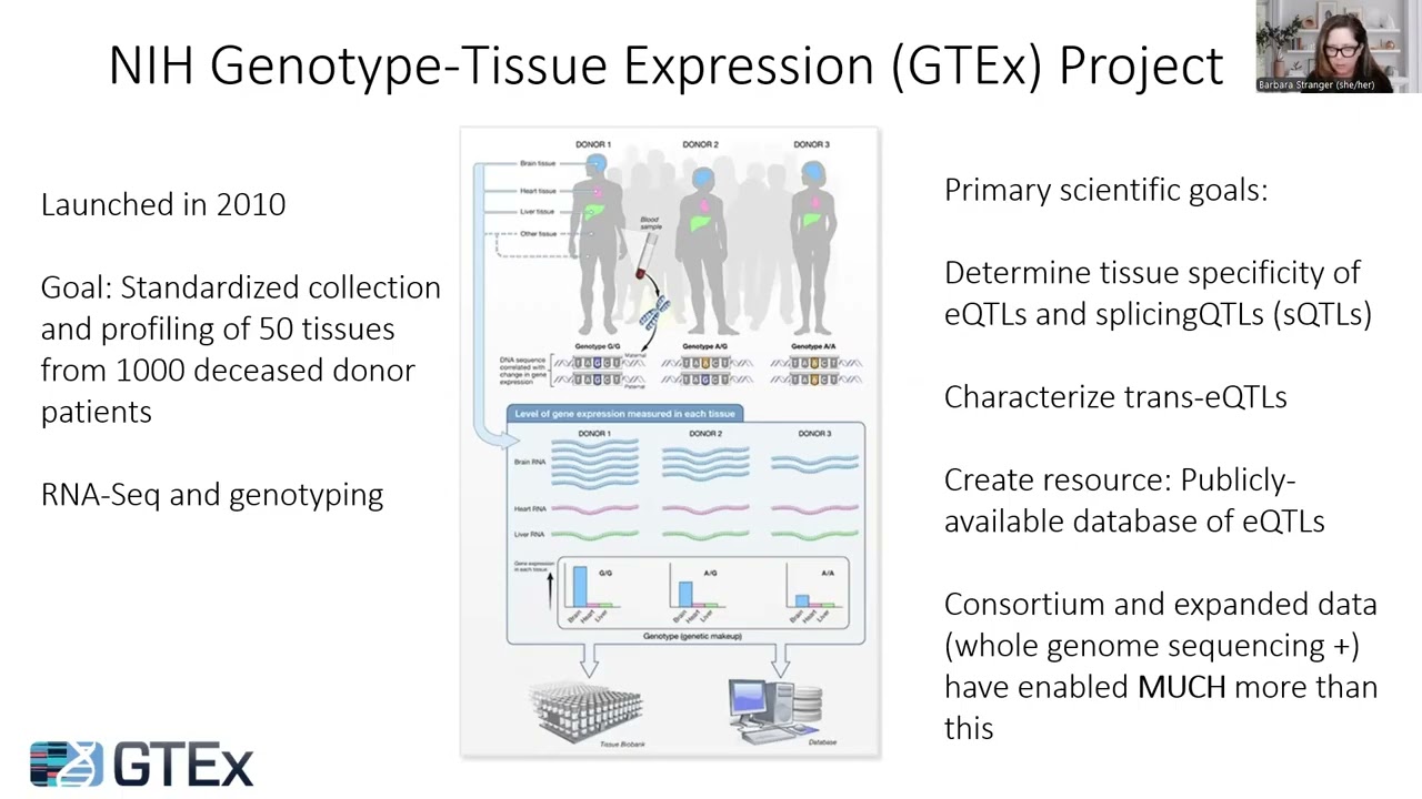 Expression quantitative trait locus (eQTL) mapping: Context, GTEx, and interpretation