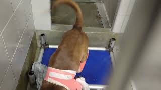 acs A657828
