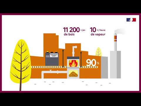 Industriels Avec La Biomasse Touchez Du Bois 