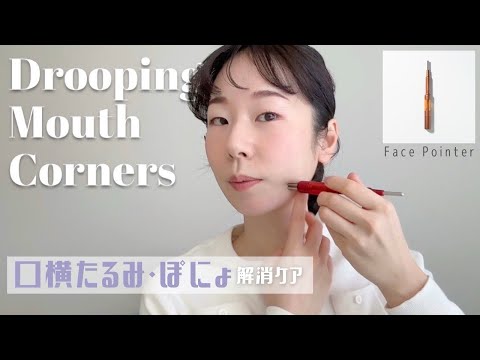 訳あり　フェイスポインタープロ　難あり 訳あり フェイスポインタープロ 難あり 訳あり フェイス