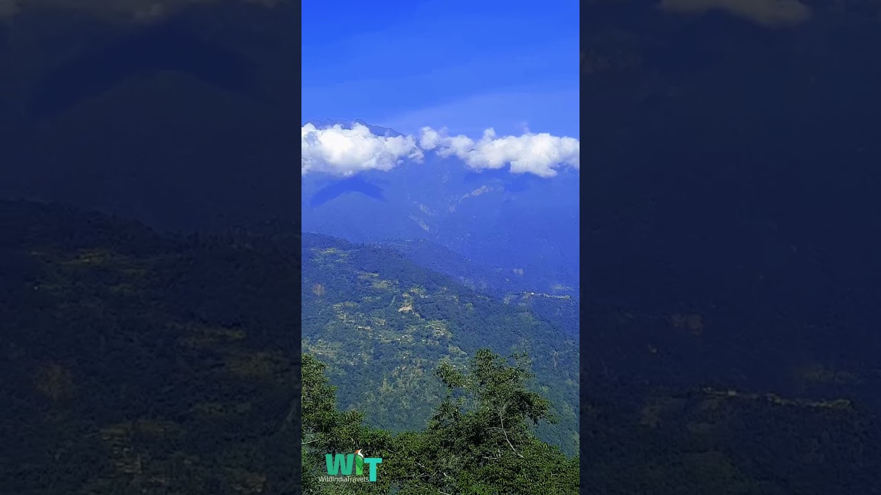 View From Upper Pelling Hotel Retreat Crassula Ovata 