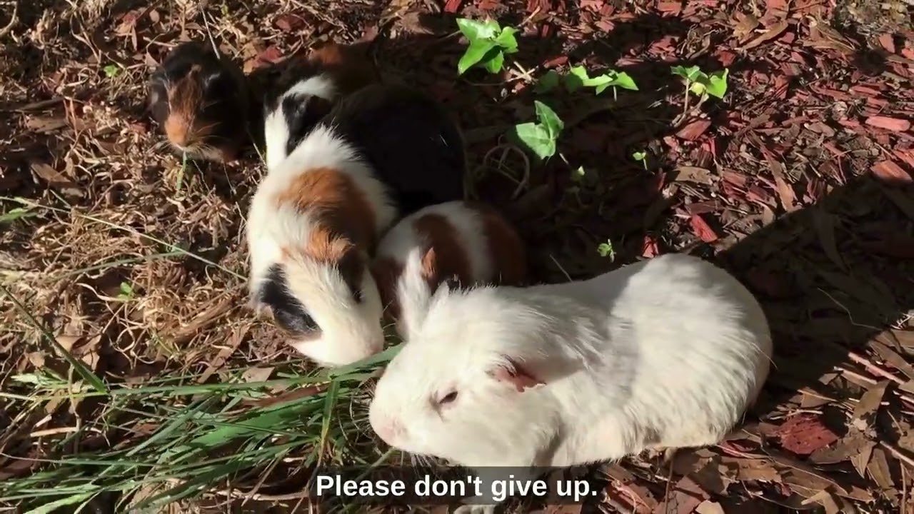 Today's Lucky Fortune for Those Born in 1969   12/28/2025   2025-12-28