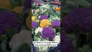 Colourful Vegetable streetfood