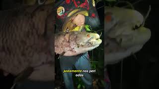 QUAL A LUA IDEAL PRA FISGAR TRAIRA?  #pesca #pescaria #traira #trairão #açude #iscasartificiais