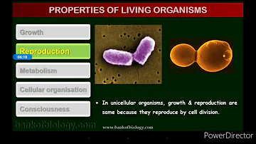 ClassXI-Biology#L-1#The Living World-Introduction, properties of living organisms