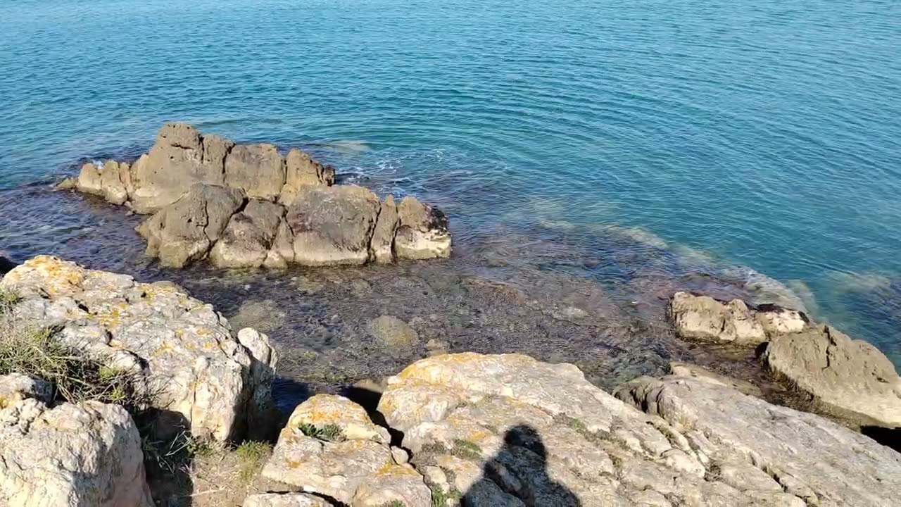 PROGETTO ACQUARIO MARINO MEDITERRANEO 