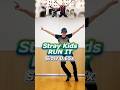 Stray Kids - RUN IT Dance Tutorial (Chorus Part 1) Slow【0.65x Mirror】