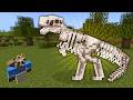 Designing Fossil Displays! | Fossils SMP Stream!