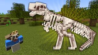 Designing Fossil Displays! | Fossils SMP Stream!