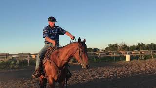 Tie-Down Roping box Training Fundamentals - Pre-Box training lesson