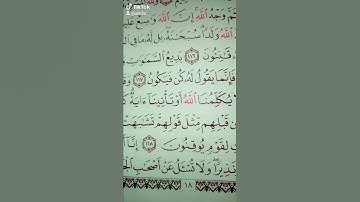 وقالوا اتخذ الله ولداً سبحانه. سورة البقرة قراءة مميزة جميلة جدا قرآن كريم