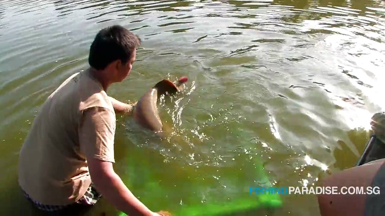 Fishing Paradise Bottle Tree Park YouTube
