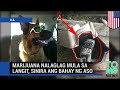 Marijuana nalaglag mula sa langit sa Arizona, sinira ang bahay ng aso - TomoNews