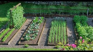 حديقتي الصغيرة My small Garden