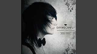 Vignette de la vidéo "SayWeCanFly - Beautiful Things"