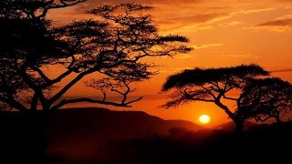 African Music Instrumental - Heart of Africa chords