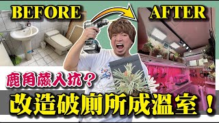 【廢棄廁所改造夢幻溫室！？】1坪不到的鹿角蕨夢幻工作室竟然是一間廁所？！
