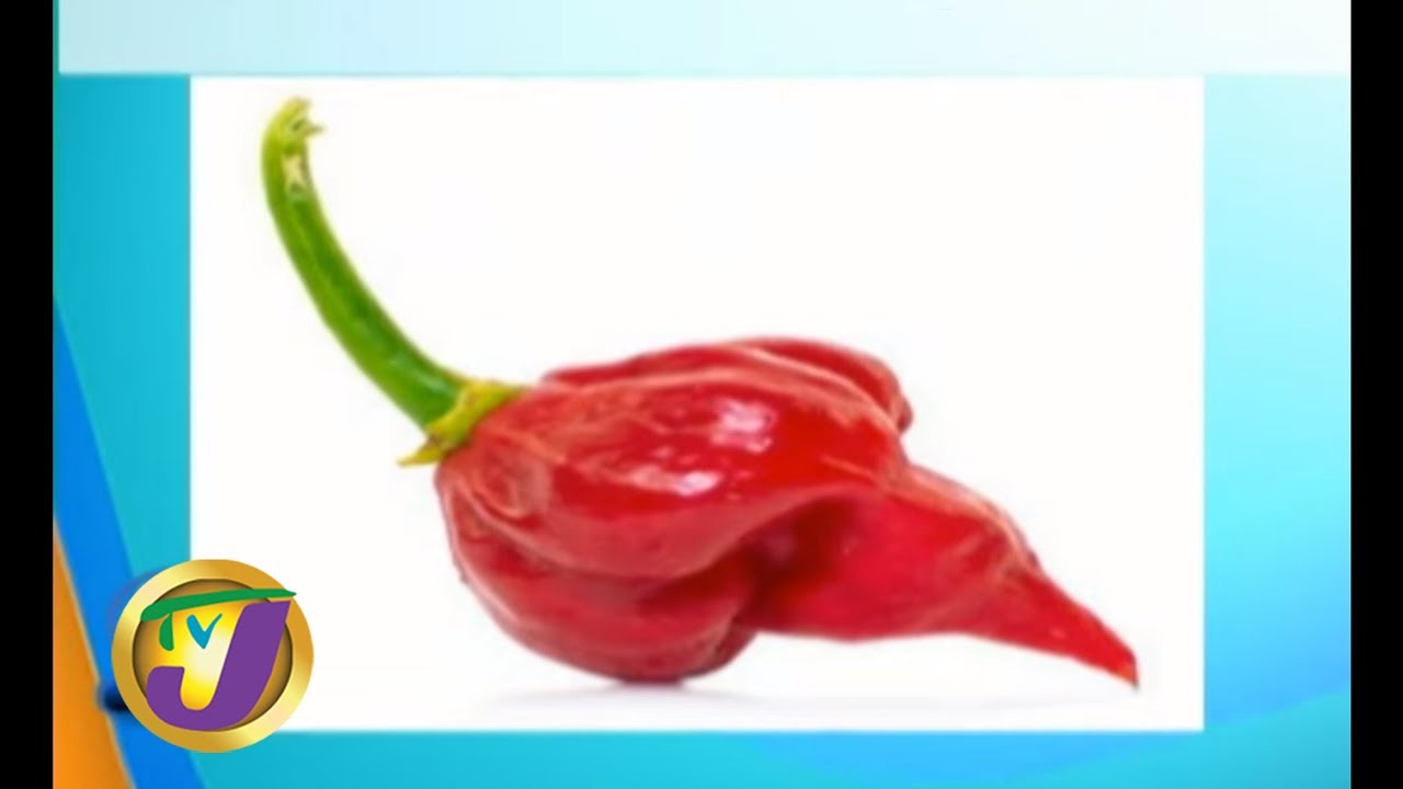 TVJ Smile Jamaica: Health Benefits of Spicy Foods - September 30 2019