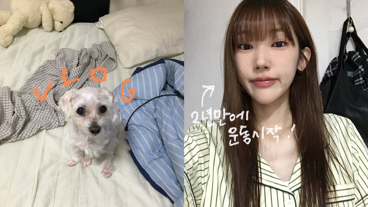 VLOG. 드디어 망치랑 같이 산다 ! | 3년만에 필라테스 등록하고 대식가 됨(?) | 여유로운 마켓 배송 끝물기간 일상 브이로그