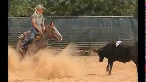 Sandra D - Cattle Work