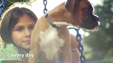 flexi - promising a good life