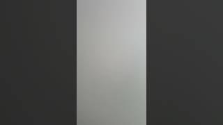 라타투이