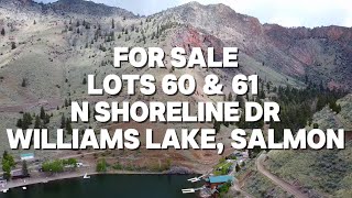 61 N Shoreline Dr. Williams Lake video tour