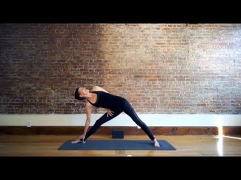 sadie nardini chair yoga