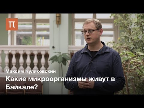 Биогеография микроводорослей — Максим Куликовский