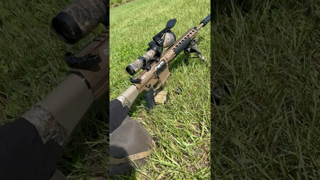 What the CRAP?!! M110 Clone DMR | Palmetto State armory