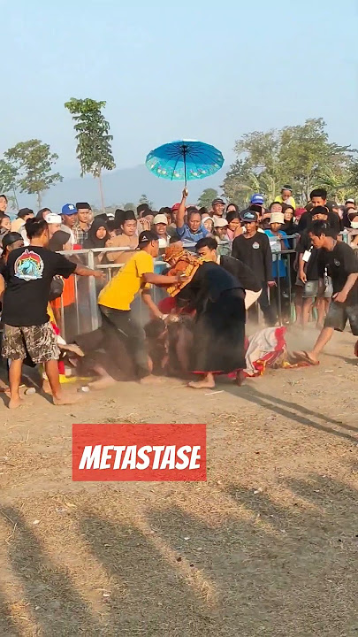 MENJENG KIMHOA NGAMUK, SOLAH PENAK DI GANGGU... #jaranan #shorts #shortviral