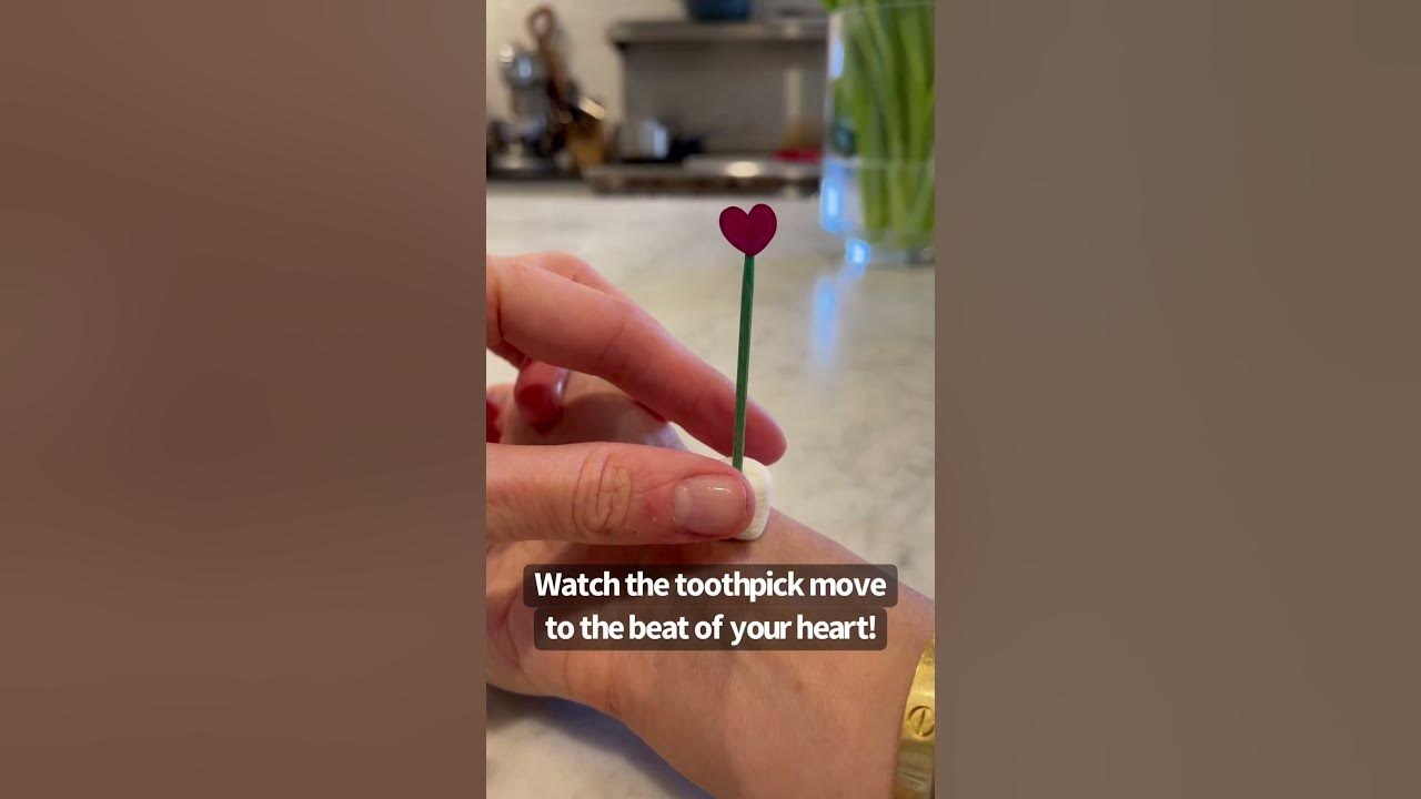 See a your Heartbeat with A Toothpick And A Marshmallow Easy Science