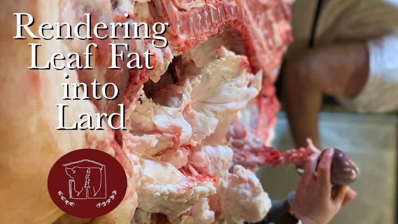 Rendering Leaf Fat - YouTube