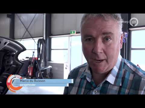 Steenmarter maakt auto's kapot in Doesburg: 'Ik hoop dat-ie niet meer terugkomt'