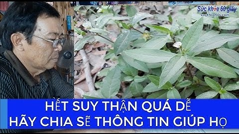 Suy Thận có thật sự hết nhờ cỏ mực không? sức khỏe 60s