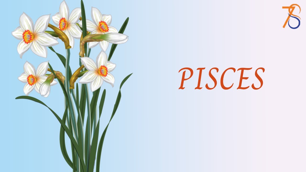 PISCES Tarot Reading On June 2 2023 Today Love Horoscope For PISCES Tarot Reading On June 2 2023 Today Love Horoscope For
