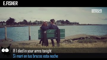 Markus Schulz feat Delacey - Destiny [Subtitulos/Lyrics - English/Español]