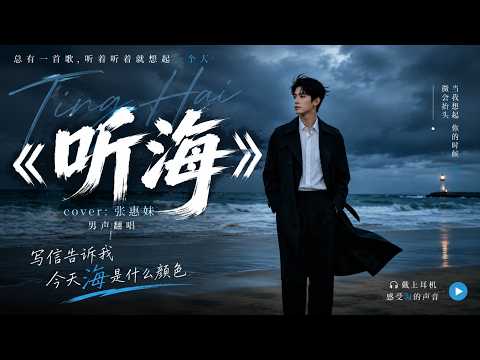 一开口就破防了…《听海》男声翻唱｜张惠妹经典情歌唱尽遗憾与思念｜深夜戴耳机必听