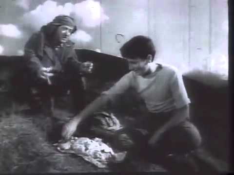 მე, ბებია, ილიკო და ილარიონი