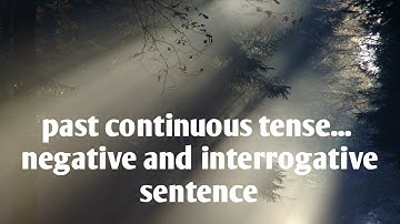 past continuous tense... negative and interrogative sentence