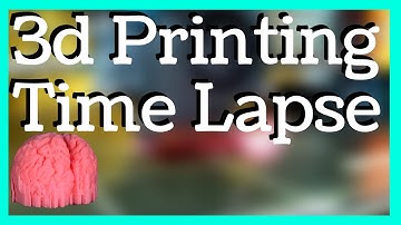 Big Brain Video | 3d Printing Time Lapse Brain