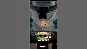 Gilgo Killer Exposed: DNA, Cell Towers, & Wife