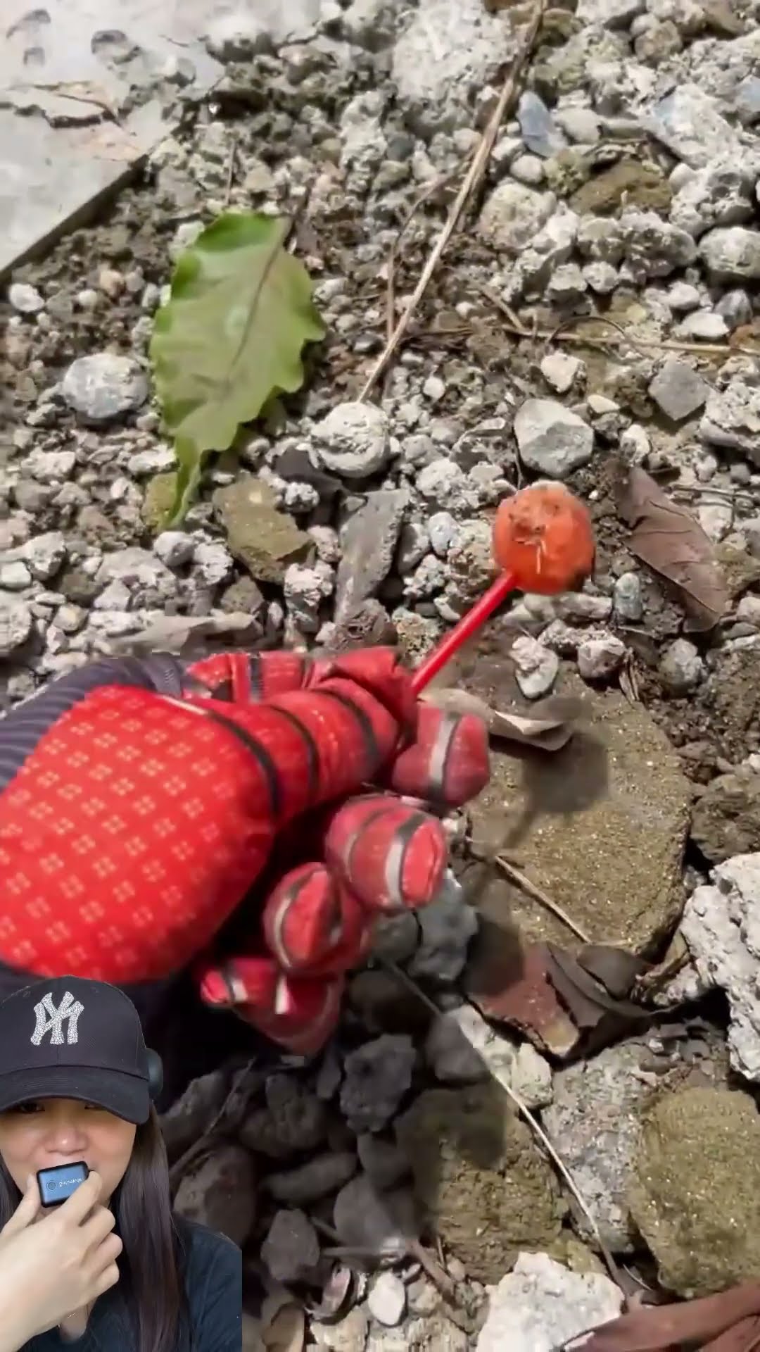 SPIDERMAN JOROK ⁉️PERMEN LOLIPOP KOTOR KASIH KE BESTIE RASANYA ??#shorts #funny #dubbing