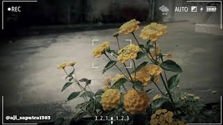 Kine Master Indonesia Video Edit  buat story WA keren