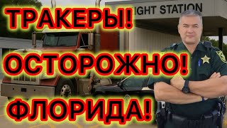 Download Lagu CDL права Вашингтона и Калифорнии не признаются. КПП с агентами ICE на хайвеях Флориды. MP3 Download Lagu CDL права Вашингтона и Калифорнии не признаются. КПП с агентами ICE на хайвеях Флориды. MP3